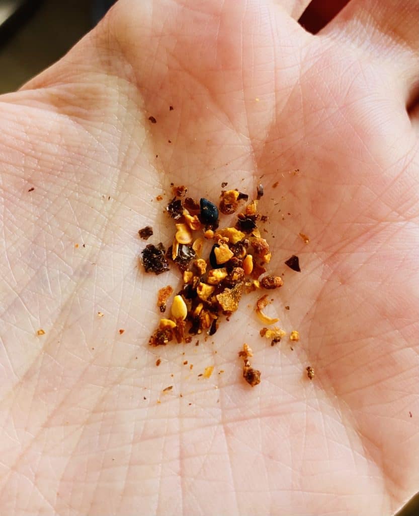 Some of the togarashi seasoning in my hand. It's bits of black, deep red and light orange.
